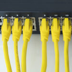 Network switch and six yellow ethernet cable Network connect